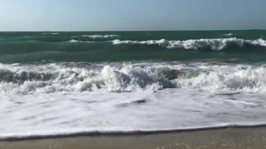 Dubai, güzel plaj. Doğa, seyahat