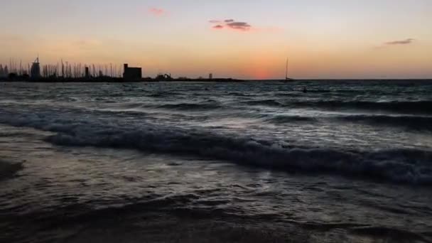 Dubai Hermosa Puesta Sol Hormigas Playa Naturaleza Viajes — Vídeo de stock