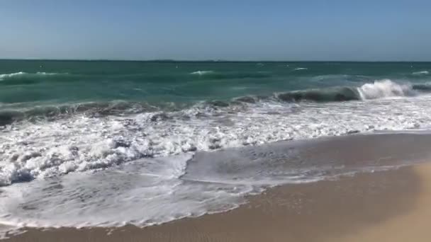 Dubai Gyönyörű Strand Természet Utazás — Stock videók