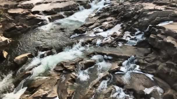 Hermoso Río Las Montañas Los Cárpatos Temporada Primavera Parque Nacional — Vídeos de Stock