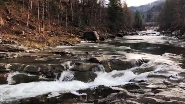 Bahar Mevsiminde Karpat Dağlarında Güzel Bir Nehir Batı Ukrayna Daki — Stok video