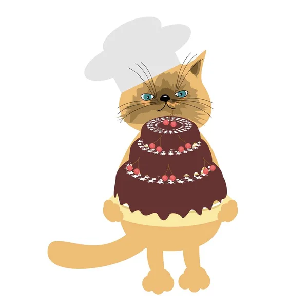 Гарний Котячий Кухар Тортами — стоковий вектор