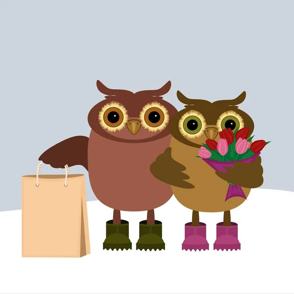 Pair Nice Owls — Stock Vector
