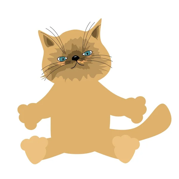 Gato Agradable Sobre Fondo Blanco — Vector de stock