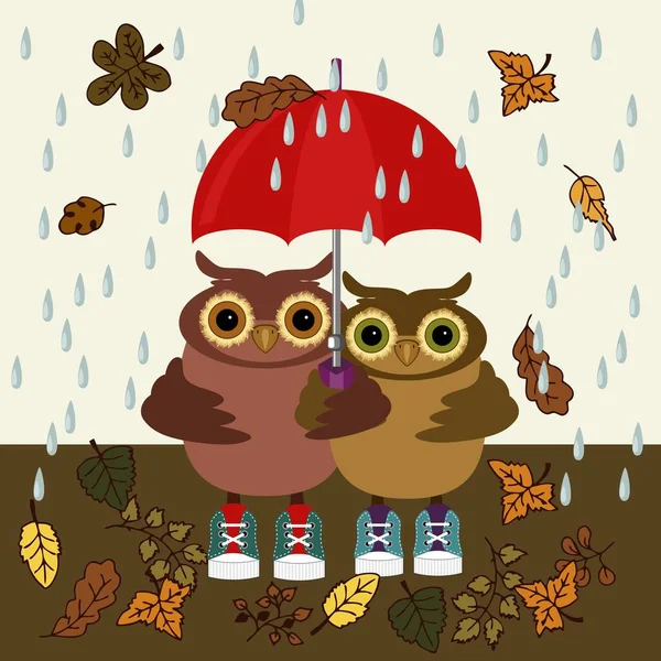 Two Owls Umbrella Rainy Day — Stock Vector