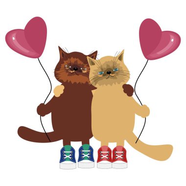 Beyaz balonlu güzel kediler