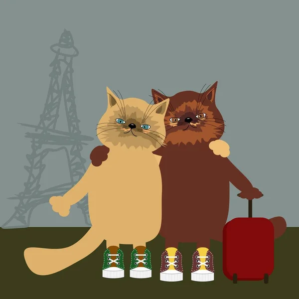 Pár Pěkných Perských Koček Paříži — Stockový vektor