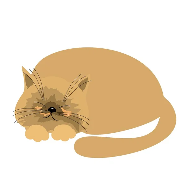 Beau Chat Endormi Sur Blanc — Image vectorielle