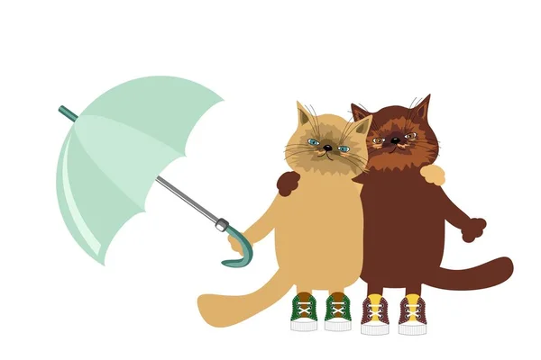 우산을 고양이들 — 스톡 벡터