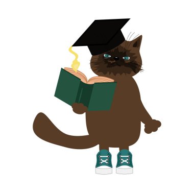 Beyaz arka plan üzerinde güzel kedi