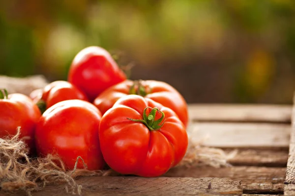 Röda Mogna Tomater Utomhus — Stockfoto