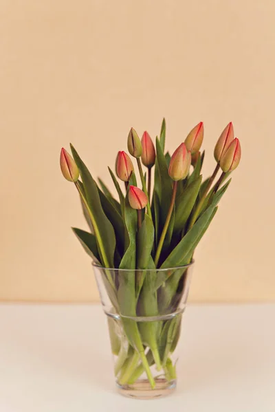 Ramo Tulipanes Frescos Mesa —  Fotos de Stock