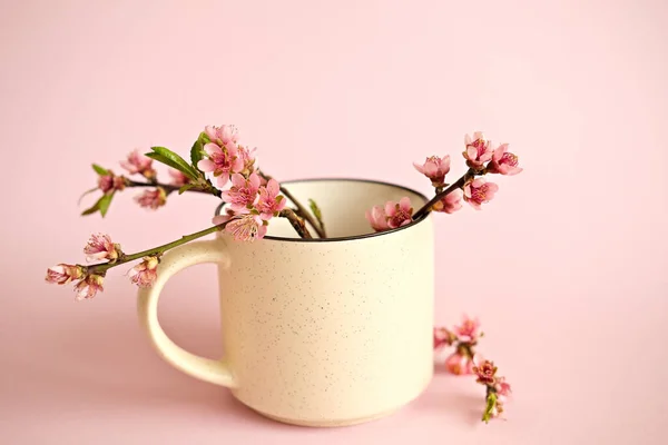 Rama Melocotón Floreciente Primavera Taza Sobre Fondo Rosa — Foto de Stock