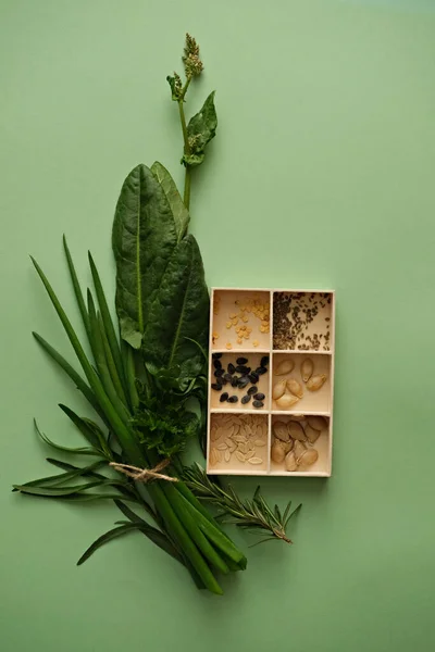 Vertical photo of a variety of seeds for planting in a wooden box and fresh herbs on a green background. Top view