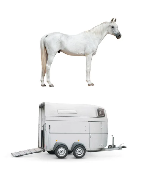 Häst och häst trailer isolerade — Stockfoto