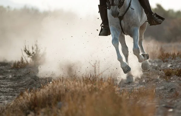 Cowboy i prärier — Stockfoto