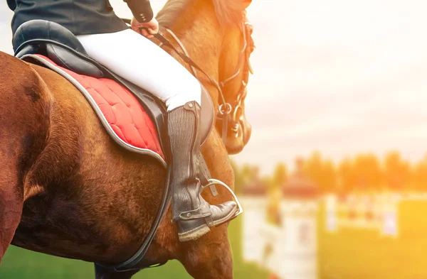 Horse riding closeup — Stock Photo, Image