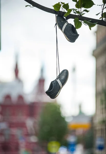 2017 - 7 Οκτωβρίου, Μόσχα Ρωσία: πάνινα παπούτσια που κρέμεται από ένα δέντρο πίτουρο — Φωτογραφία Αρχείου