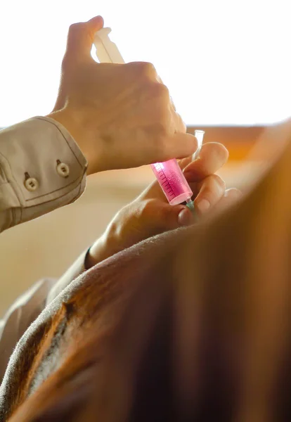 Concept Vet Making Medical Injection Horse Vaccinating Horse Horse Farm — Stock Photo, Image