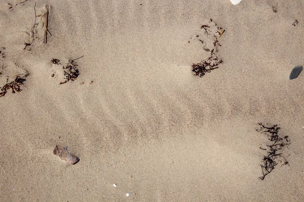 Sand texture. Sandy beach for background. Top view — Stock Photo, Image