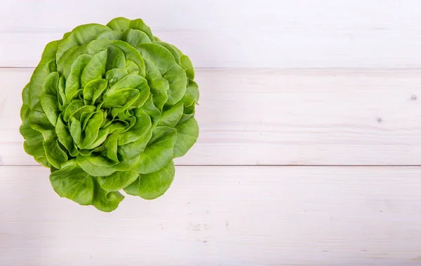 Ensalada de lechuga aislada en blanco —  Fotos de Stock