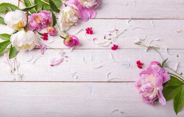 Impresionantes peonías rosadas sobre fondo blanco rústico de madera. Copiar espacio —  Fotos de Stock