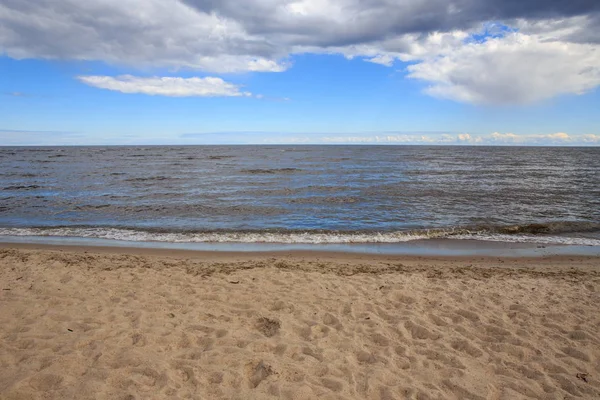 Baltic coast in summer — Stock Photo, Image