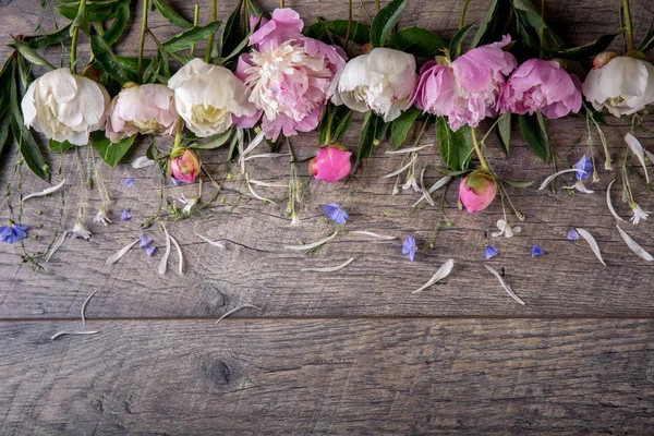 Impresionantes peonías rosadas sobre fondo blanco rústico de madera. Copiar espacio — Foto de Stock