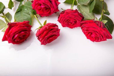 Beyaz zemin üzerine kırmızı gül süsler