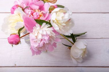 çarpıcı pembe peonies beyaz rustik ahşap zemin üzerinde. kopya alanı