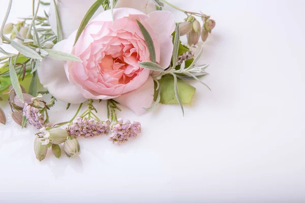 Hermoso ramo de flores de rosa inglesa sobre fondo blanco —  Fotos de Stock