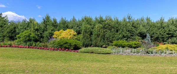 Panorama paysage jardin fleuri avec beaucoup de fleurs colorées et de pins. Vue panoramique. Dailas rozes — Photo