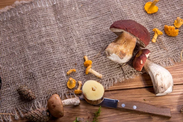 Wild fresh mushrooms on a rustic wooden table. Copyspace. — Stock Photo, Image