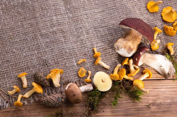 Wild fresh mushrooms on a rustic wooden table. Copyspace. — Stock Photo, Image