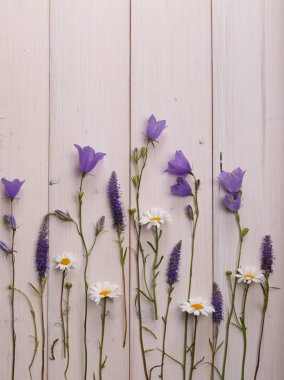 Kır çiçekleri papatyalar ve Beyaz ahşap zemin üzerinde çan