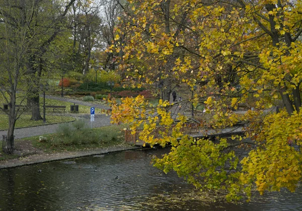 Река и мост в золотом осеннем городском парке — стоковое фото