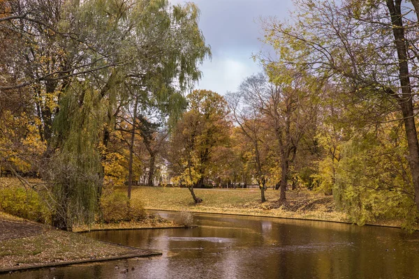 Река и мост в золотом осеннем городском парке — стоковое фото