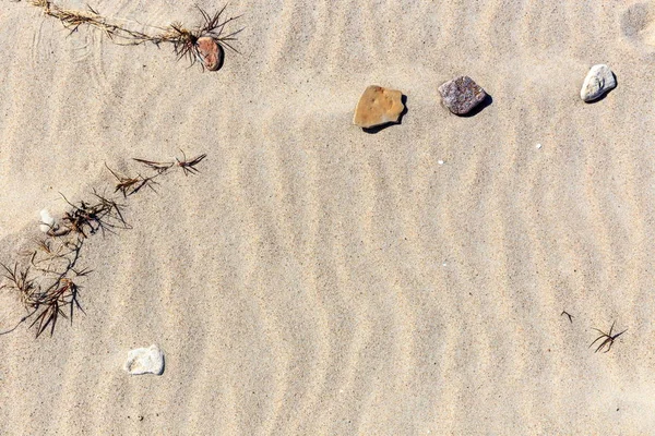 Sand texture. Sandy beach for background — Stock Photo, Image