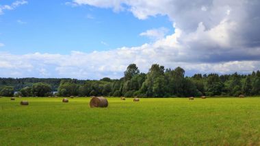 bir alan üzerinde rulo saman Peyzaj Fotoğraf