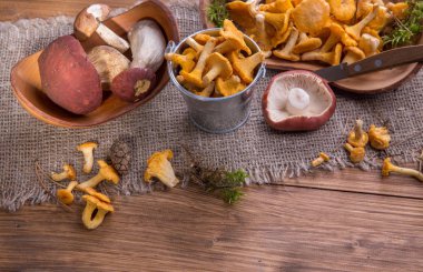 Taze mantar rustik ahşap bir masa üzerinde. Chanterelles, çörek, russula. Boşaltmak