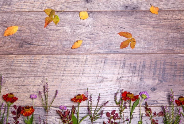 Kolorowe liście i jesienne kwiaty na podłoże drewniane — Zdjęcie stockowe