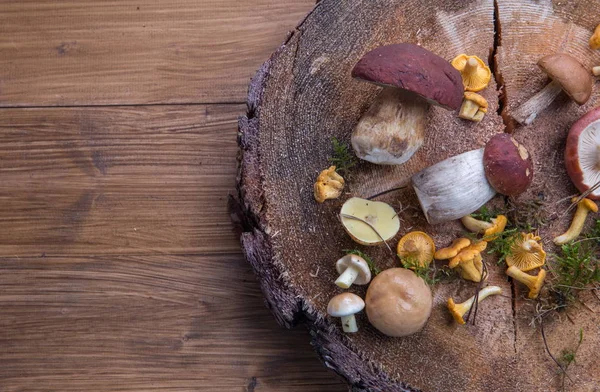 Taze mantar rustik ahşap bir masa üzerinde. Chanterelles, çörek, russula. Boşaltmak