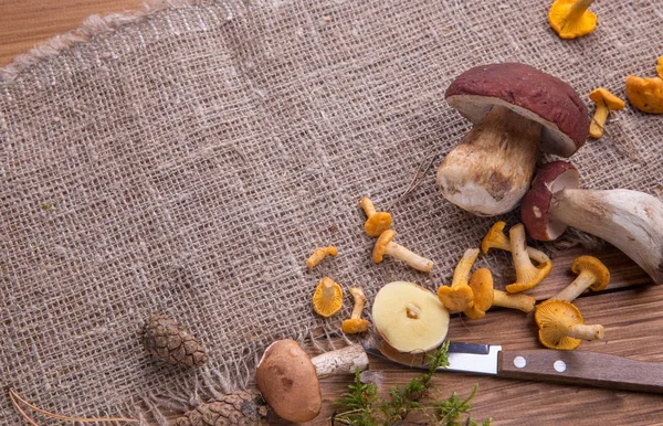 Champignons frais sauvages sur une table en bois rustique. Chanterelles, bolets, russules. Espace de copie — Photo