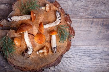 Taze mantar rustik ahşap bir masa üzerinde. Turuncu huş Bolete. Boşaltmak. Sonbahar arka plan