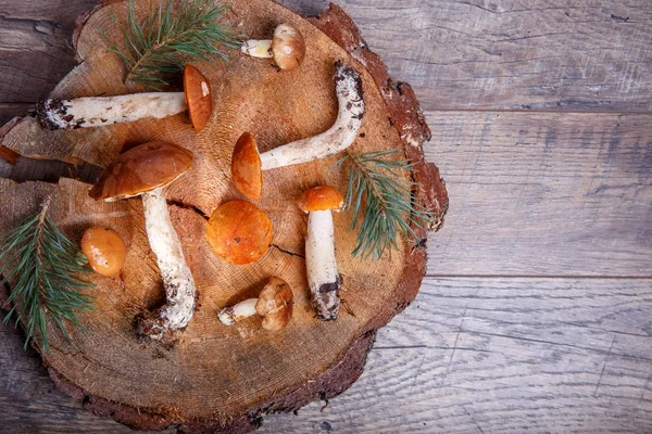 Taze mantar rustik ahşap bir masa üzerinde. Turuncu huş Bolete. Boşaltmak. Sonbahar arka plan