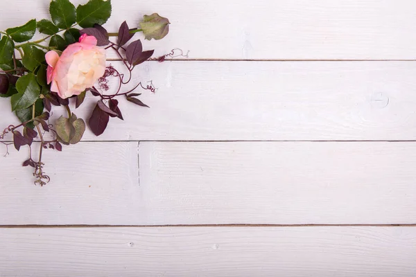 Composición floral festiva sobre fondo de madera blanca. Vista aérea. — Foto de Stock