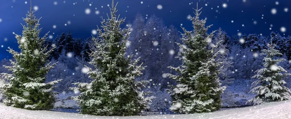 Noche de invierno paisaje panorámico. Árboles de Navidad cubiertos de nieve. Nieve de cuento de hadas y humor festivo — Foto de Stock