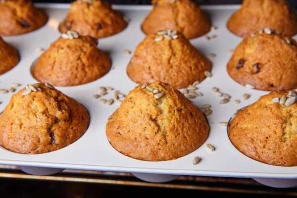 Carrot cupcakes are baked in a hot oven — Stock Photo, Image