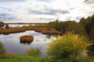 sonbahar orman ve göl Sonbahar sezonu.