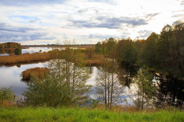 Podzimní les a jezero v sezóně podzim. — Stock fotografie